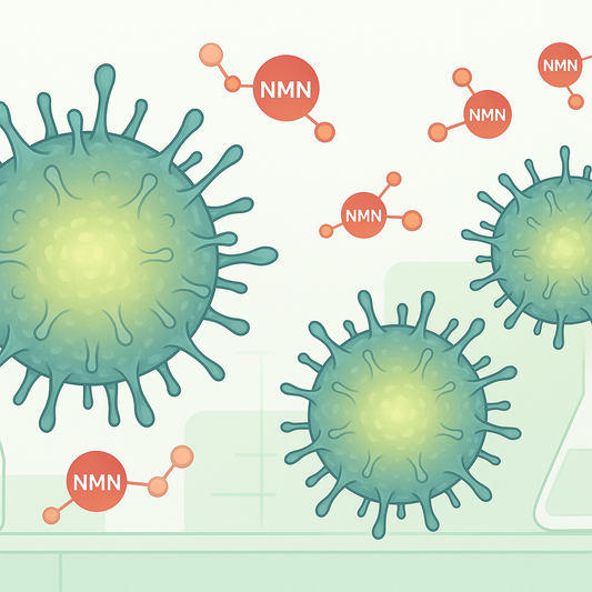 NMN Rejuvenates CAR-T Cells for Better Immunotherapy