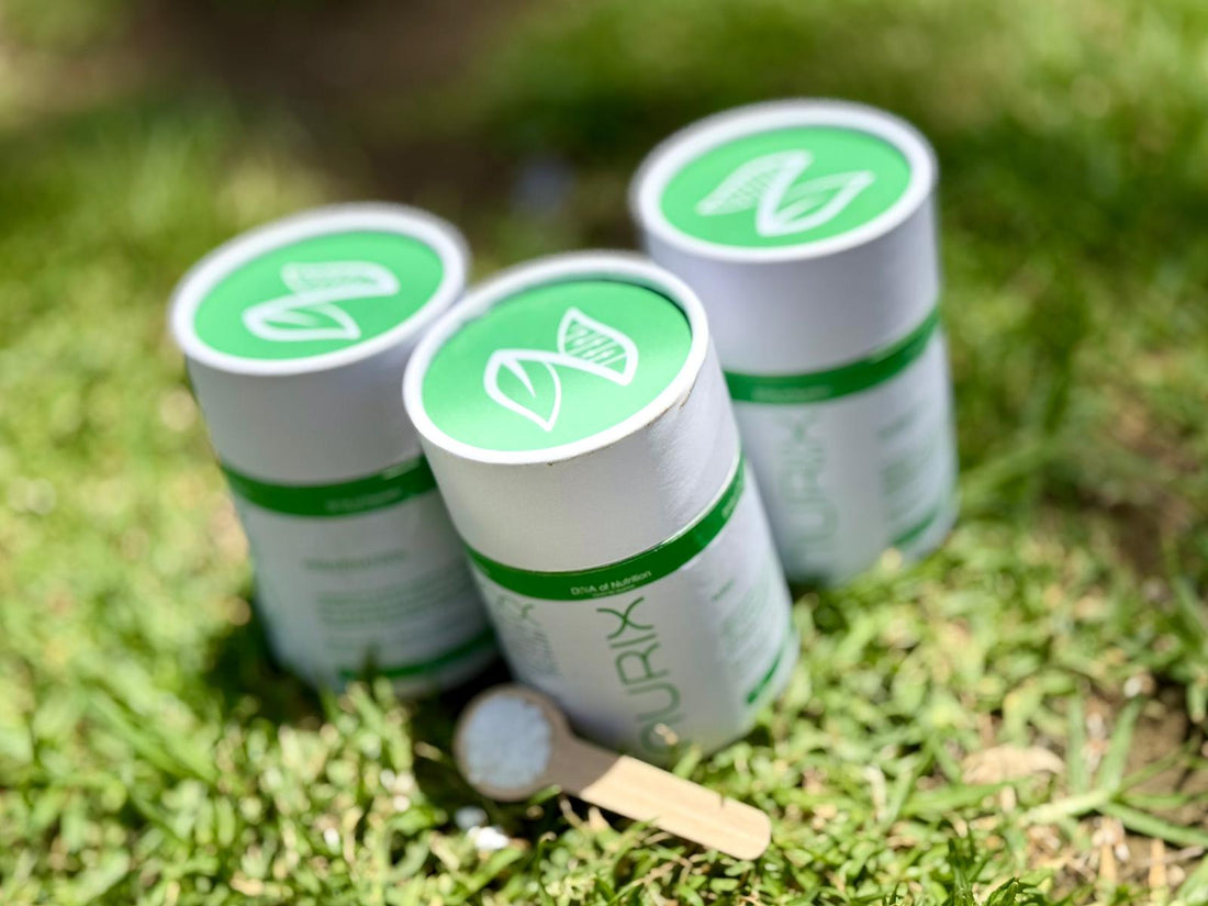 Triple-Cocktail Synergy: NMN, Quercetin & Resveratrol