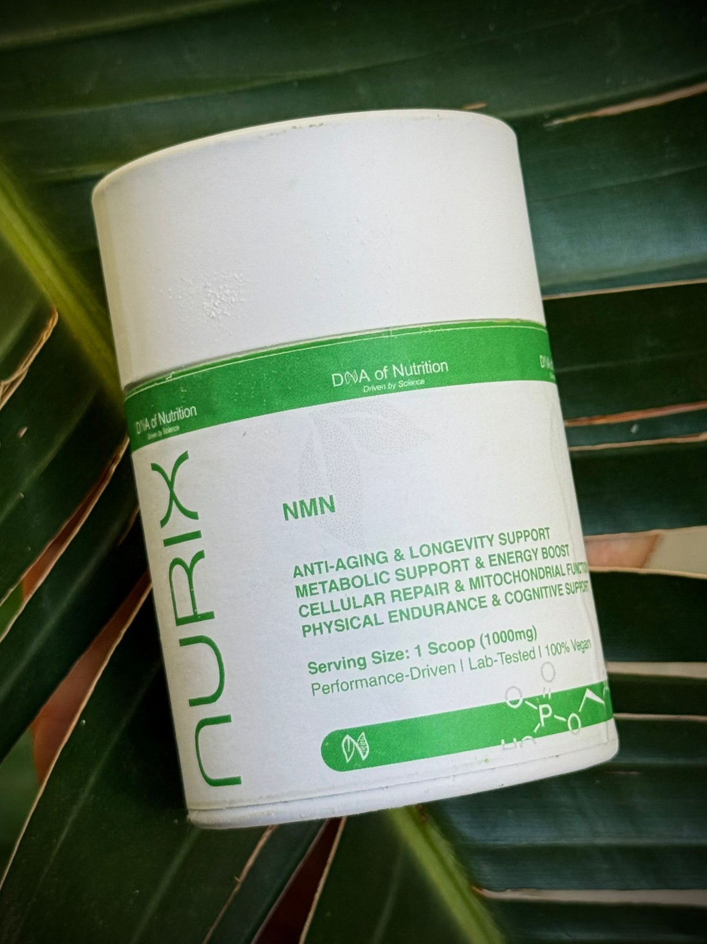 Nicotinamide Mononucleotide (NMN)